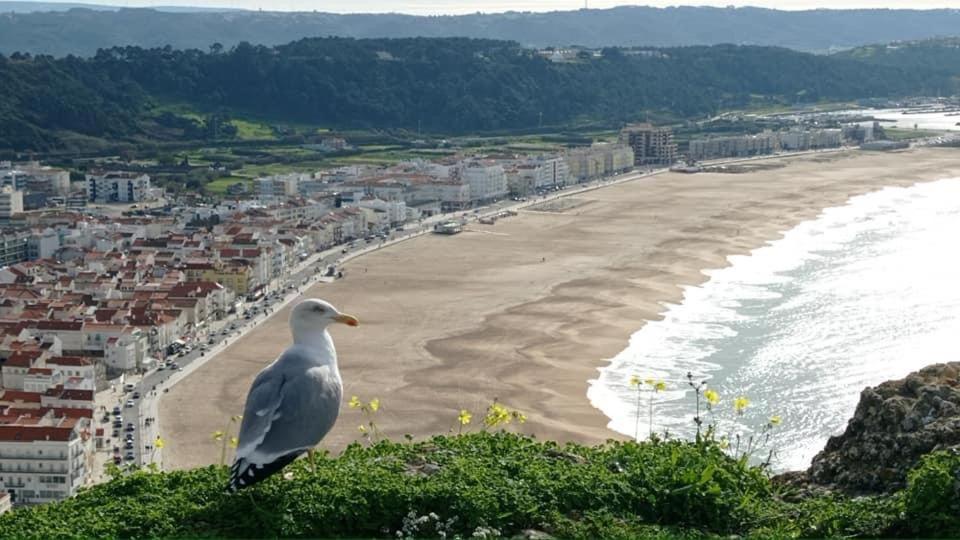 West Coast Dream Nazare Villa Ngoại thất bức ảnh